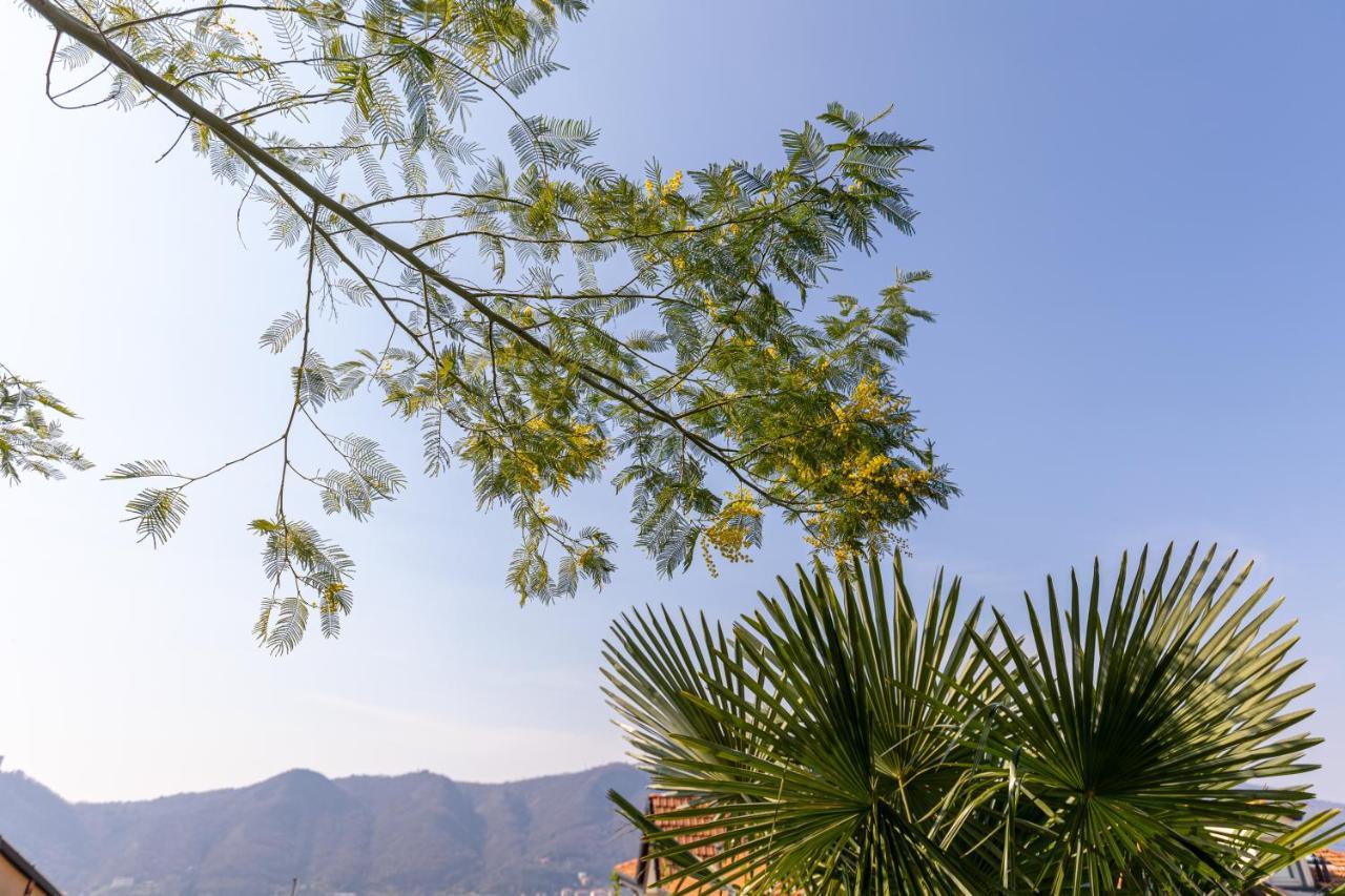 La Casetta Di Erica Όπως Εξωτερικό φωτογραφία